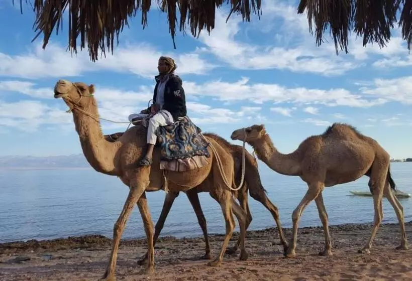 هتل Nakhil Inn Nuweiba