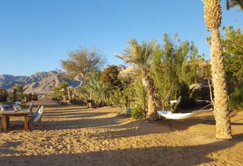 هتل Nakhil Inn Nuweiba