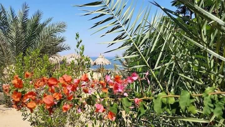 هتل Nakhil Inn Nuweiba