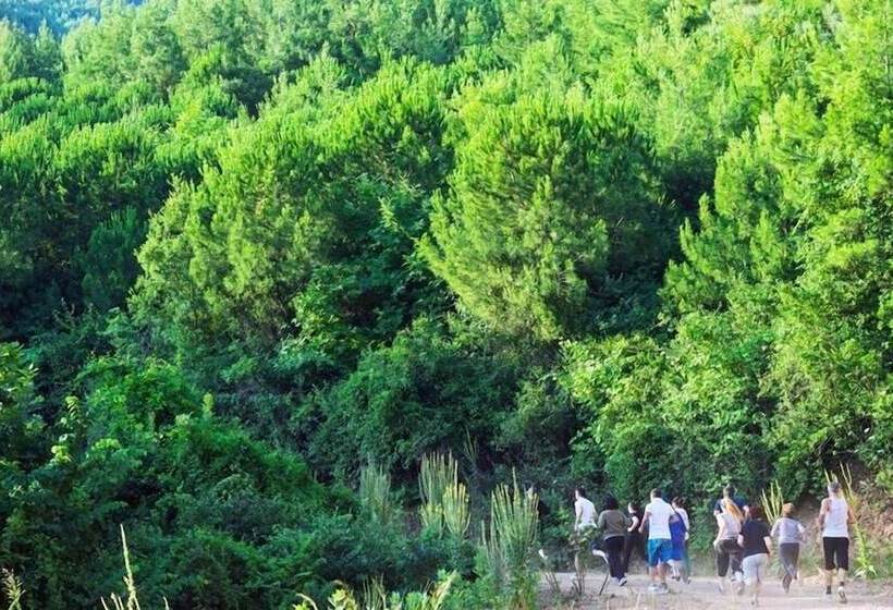 ホテル Natur Med Hot Springs And Health Resort