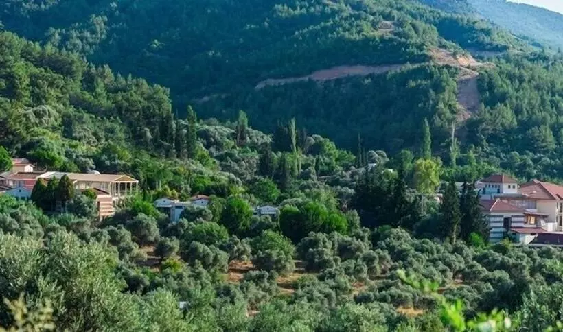 Отель Natur Med Hot Springs And Health Resort