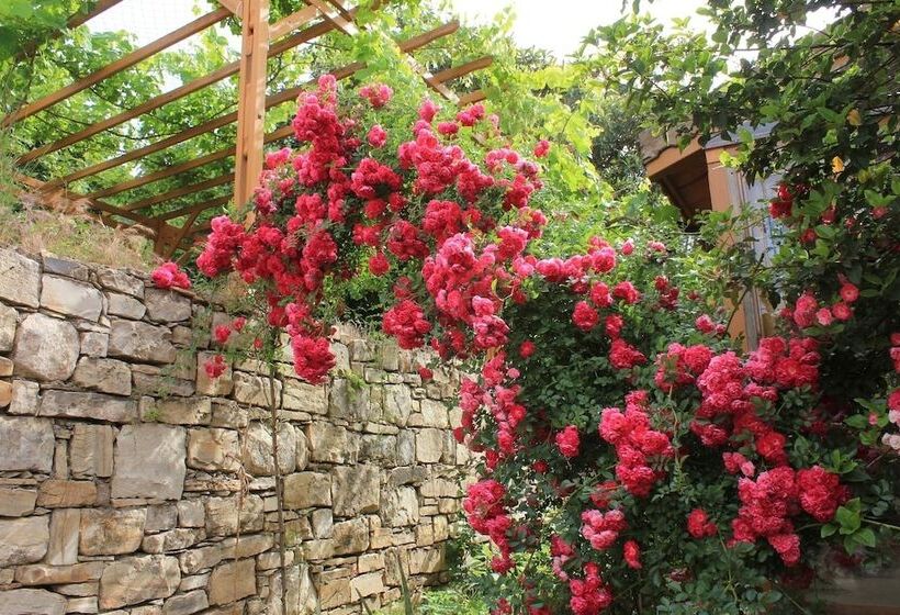 ホテル Natur Med Hot Springs And Health Resort