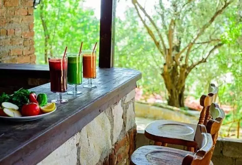 Отель Natur Med Hot Springs And Health Resort