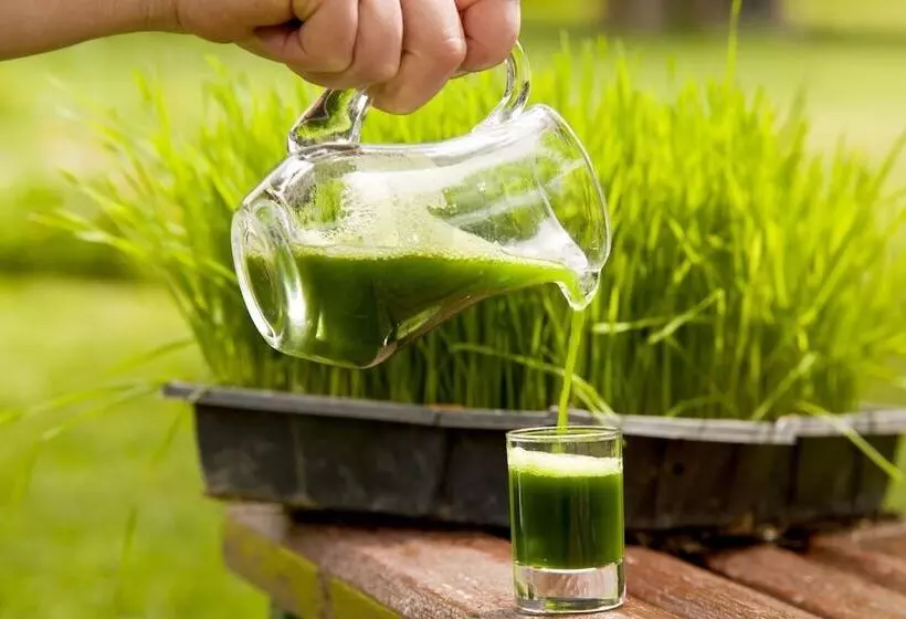 Отель Natur Med Hot Springs And Health Resort