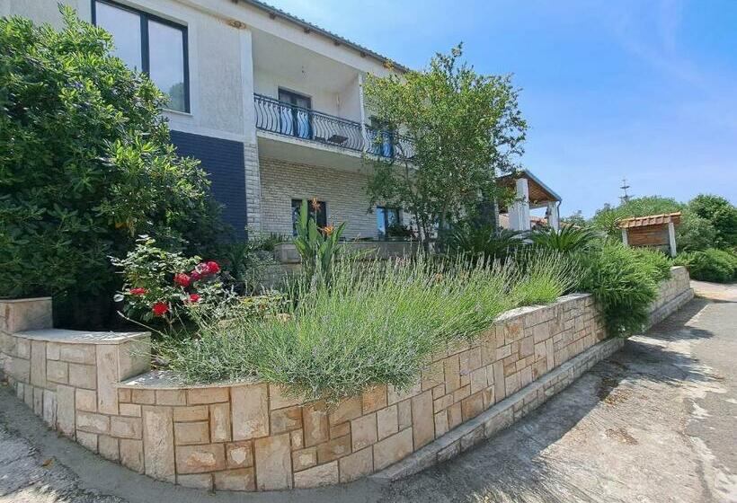 酒店 Guesthouse Tamara