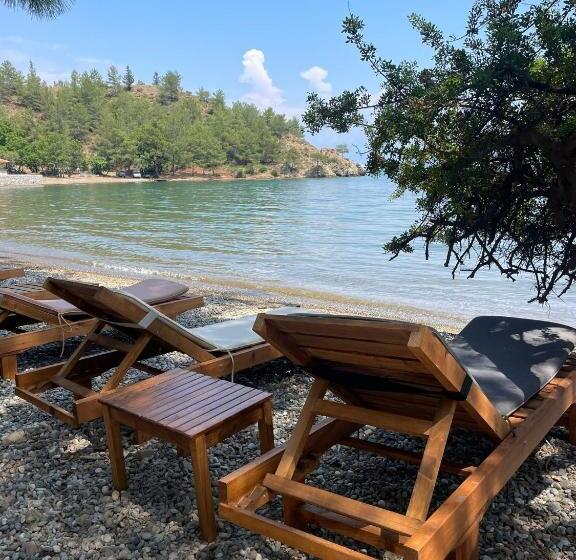 בית מלון כפרי Dalya Life