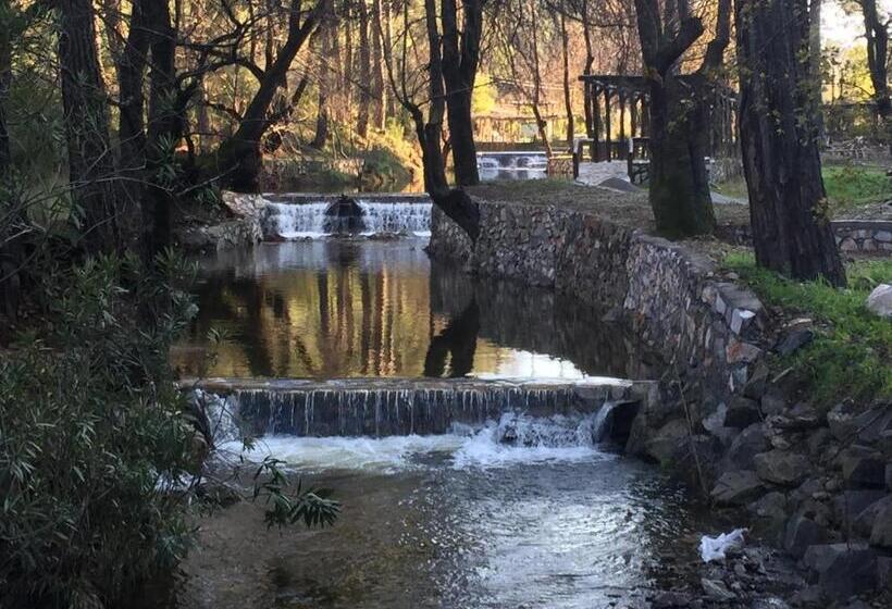 בית מלון כפרי Dalya Life