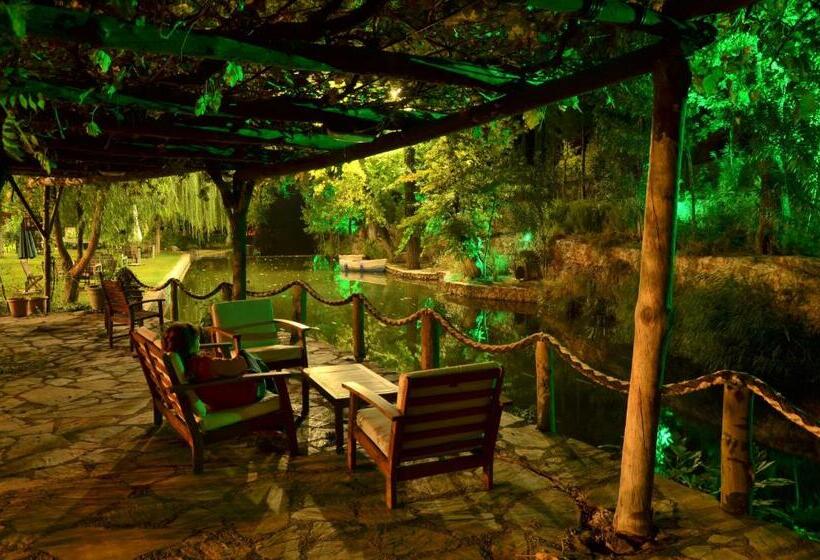 בית מלון כפרי Dalya Life