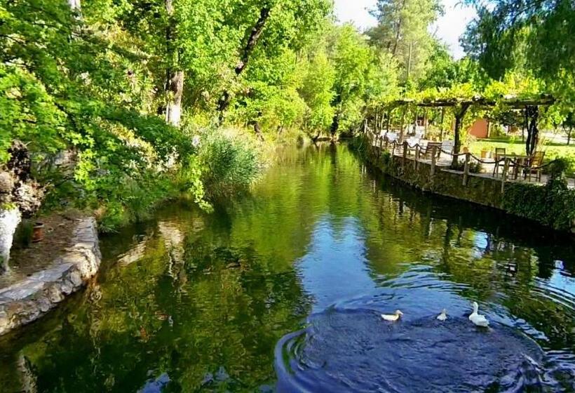 בית מלון כפרי Dalya Life