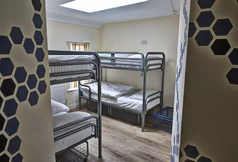 The Times Hostel  Camden Place