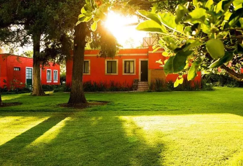 Hotelli Boutique Rancho San Juan Teotihuacan