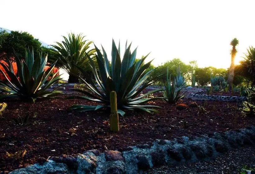 Hotelli Boutique Rancho San Juan Teotihuacan