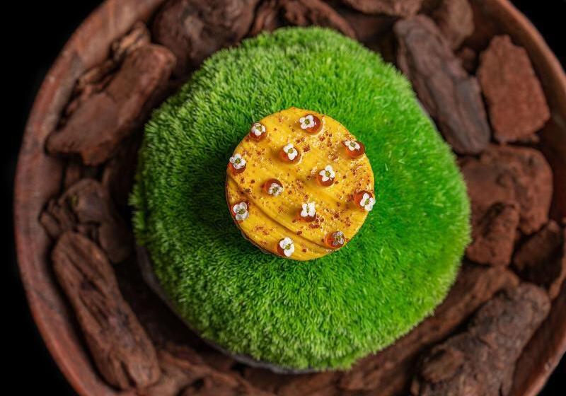 酒店 The St. Regis Dubai, The Palm