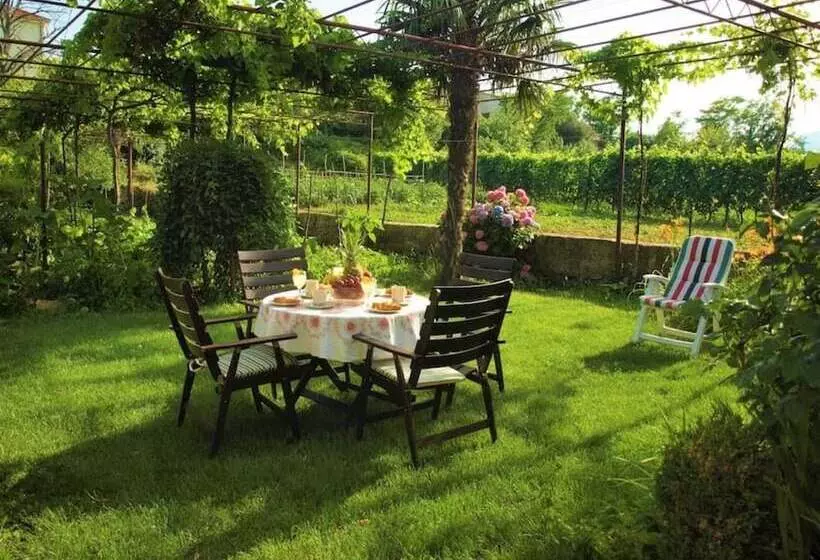 Residenssi Sunflower House With A Pool And Large Garden