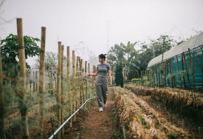 בית מלון כפרי Phoomtada Homestay