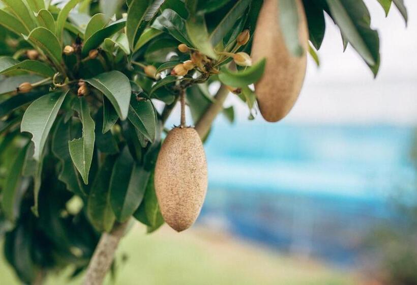 בית מלון כפרי Phoomtada Homestay