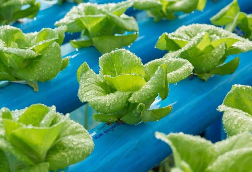 בית מלון כפרי Phoomtada Homestay