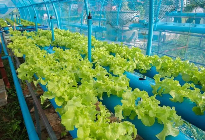 Hotelli Phoomtada Homestay