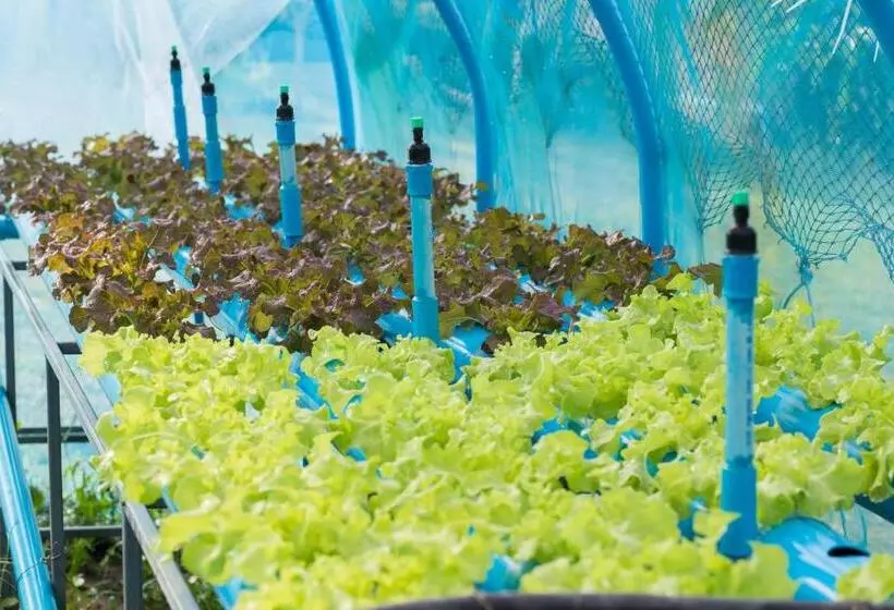 Hotelli Phoomtada Homestay