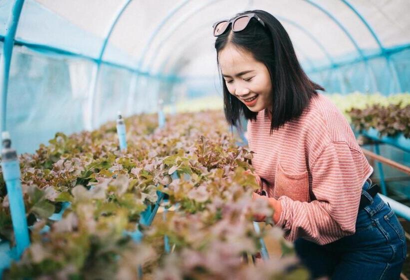 בית מלון כפרי Phoomtada Homestay