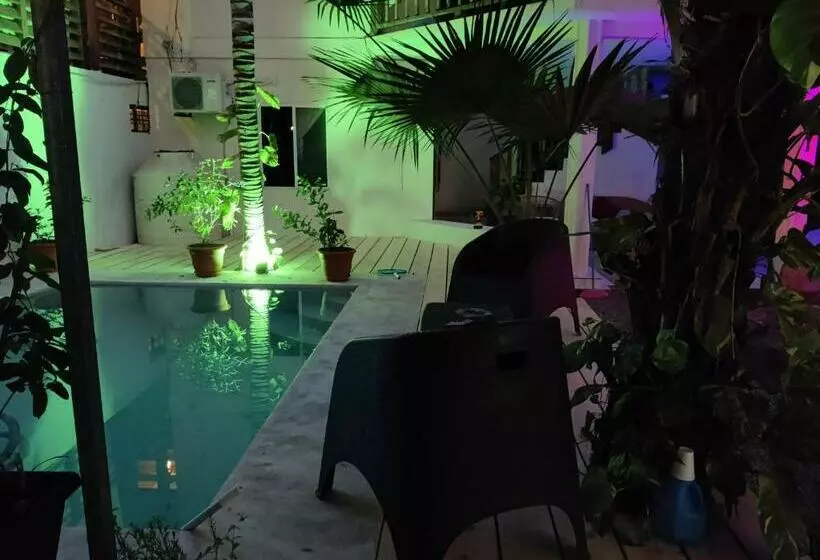 Retkeilymaja Layback Surf