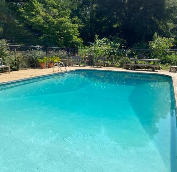 مبيت وإفطار The Birdnest Inn