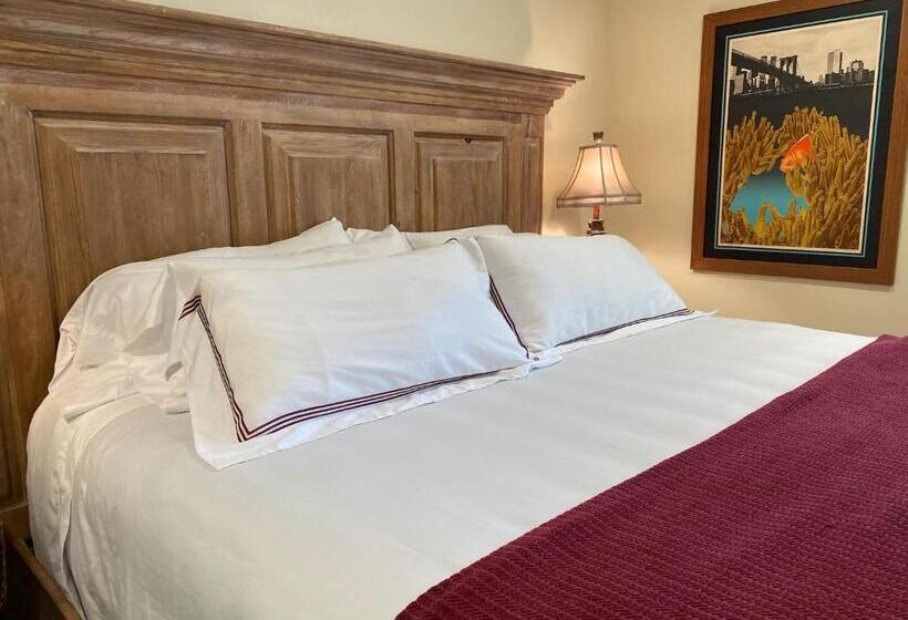 مبيت وإفطار The Birdnest Inn