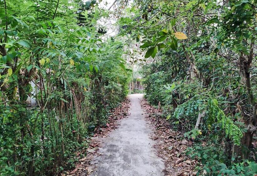 בית מלון כפרי Schatzi S Hideaway