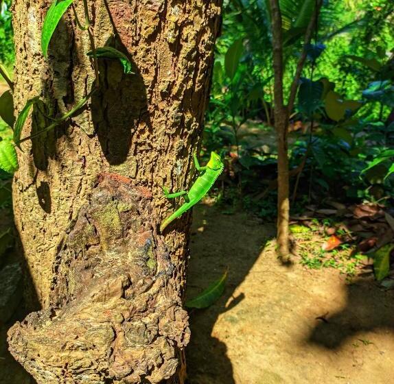 בית מלון כפרי Schatzi S Hideaway