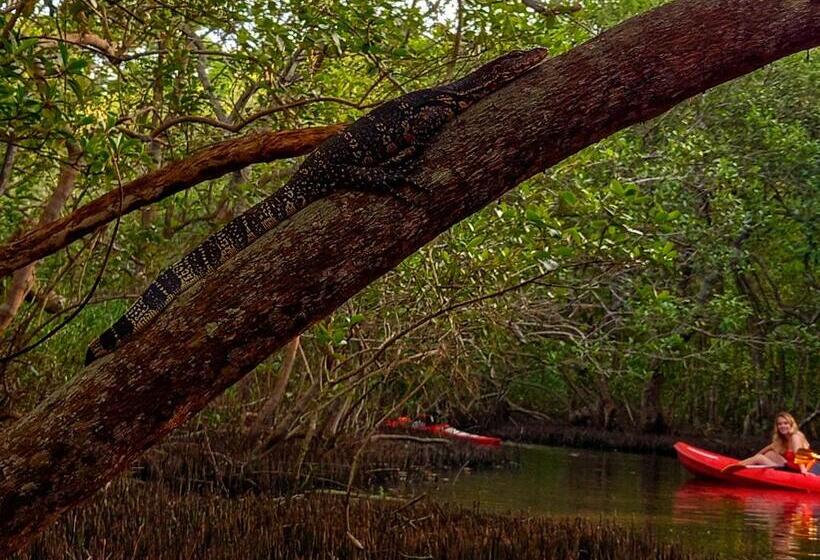 בית מלון כפרי Schatzi S Hideaway