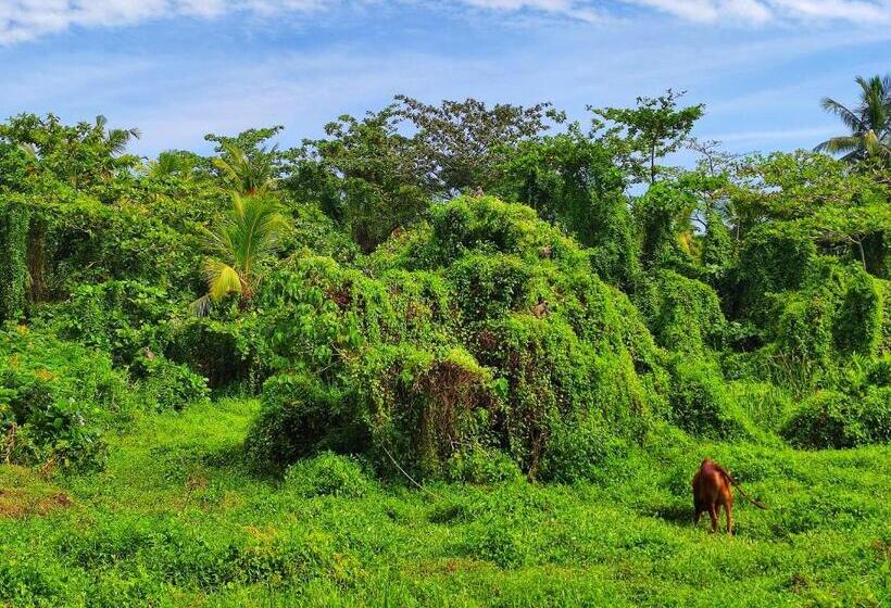 בית מלון כפרי Schatzi S Hideaway