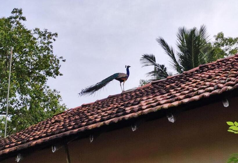 בית מלון כפרי Schatzi S Hideaway