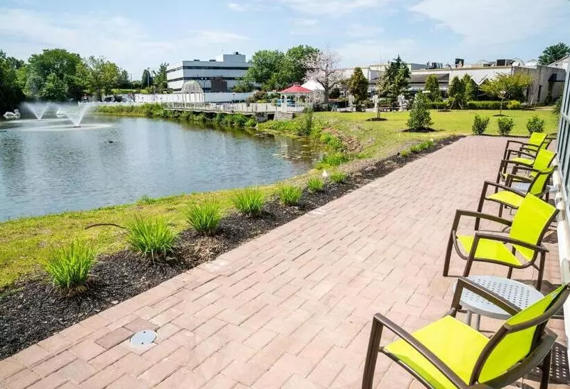 Hotelli Springhill Suites By Marriott Woodbridge