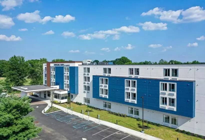 Hotelli Springhill Suites By Marriott Woodbridge