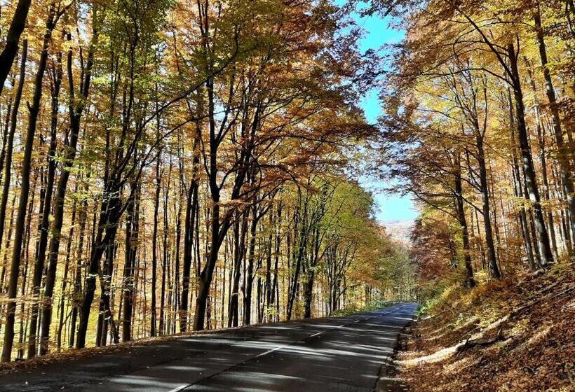 פנסיון E Tekergők Háza