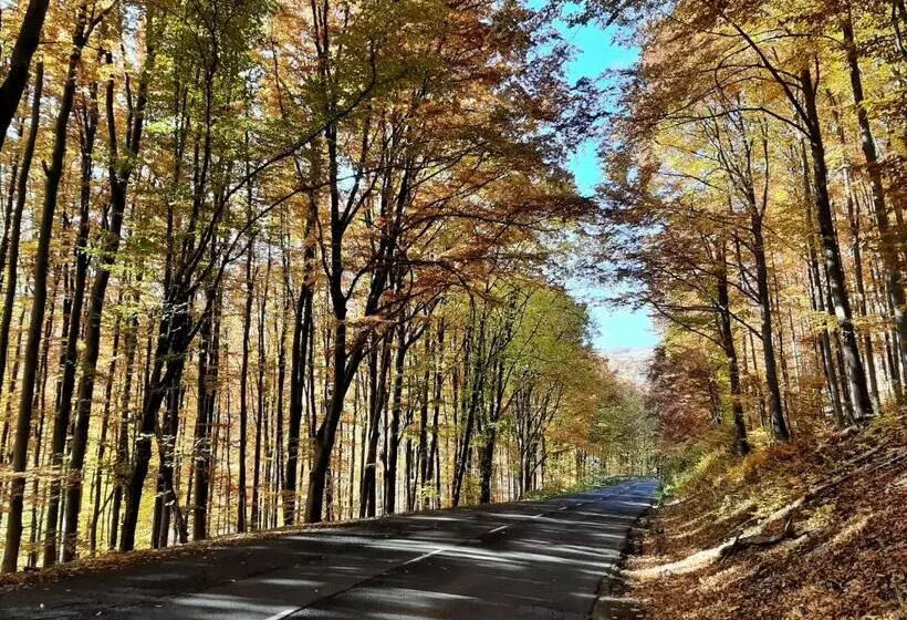 Majatalo E Tekergők Háza