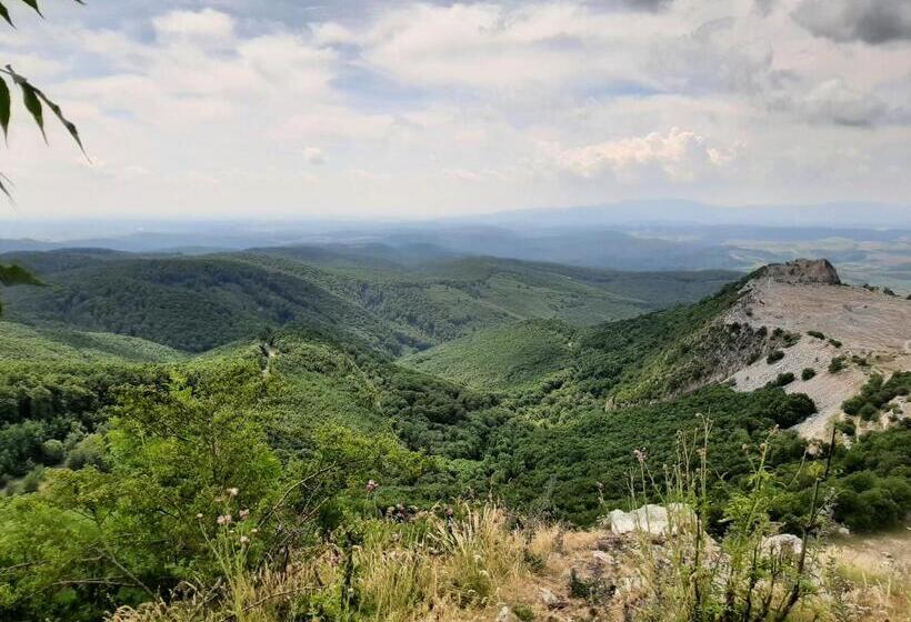 פנסיון E Tekergők Háza