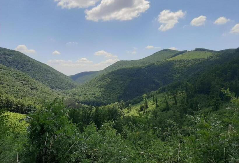 פנסיון E Tekergők Háza