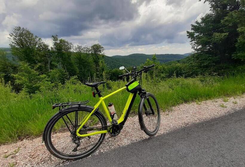 פנסיון E Tekergők Háza