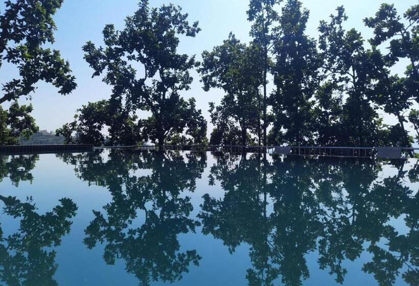 Blue Pine Orchards   Villas