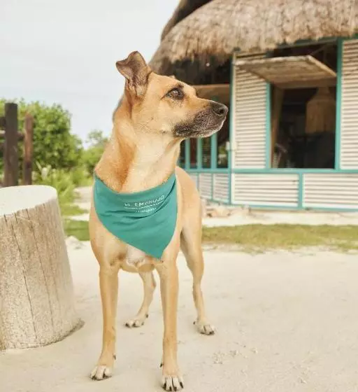 Hotelli El Embrujo Tintipan