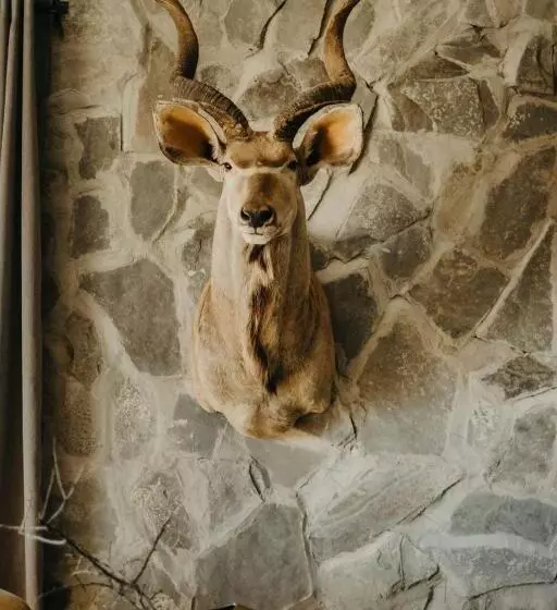 Majatalo Twyfelberg Karoo Hideaway