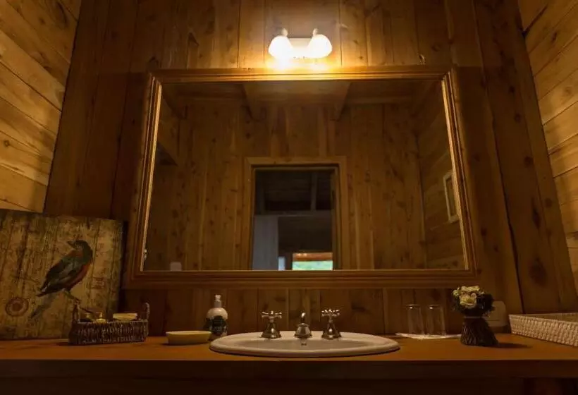ホテル Aguas Arriba Lodge