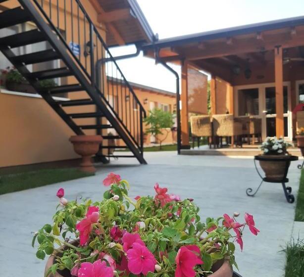 هاستل Villa Klara