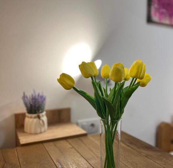 هاستل Villa Klara