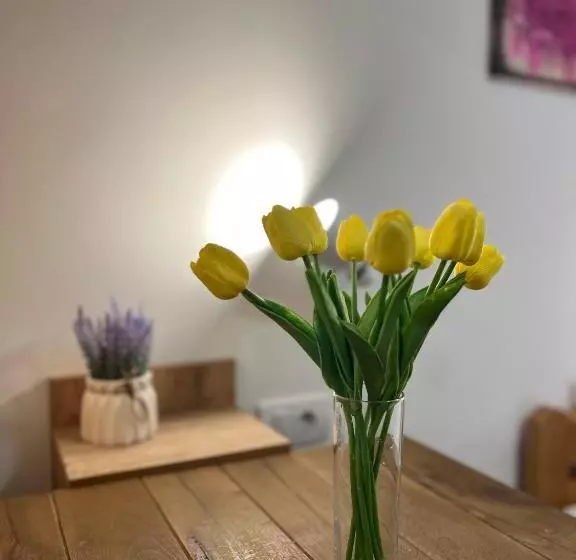 ユースホステル Villa Klara