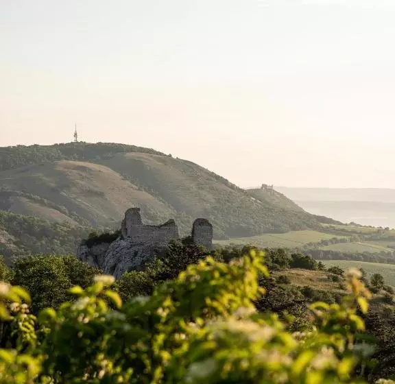 ベッドアンドブレックファースト Marináda Viniční Dům