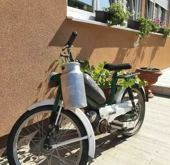 ユースホステル Villa Klara