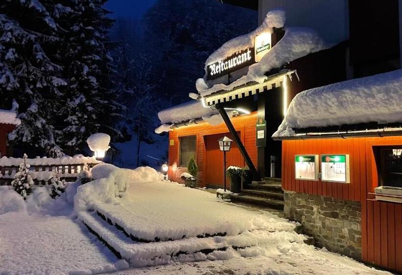 Pensionat Gasthof Paluda   Pizzeria