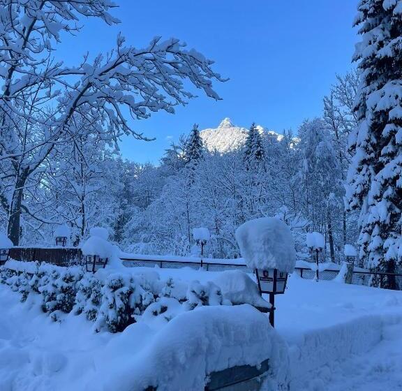 Pensionat Gasthof Paluda   Pizzeria